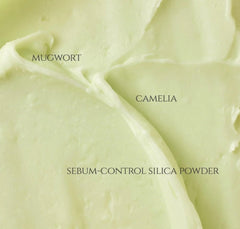 BEAUTY OF JOSEON Matte Sun Stick: Mugwort+Camelia SPF 50+ PA++++(18g)